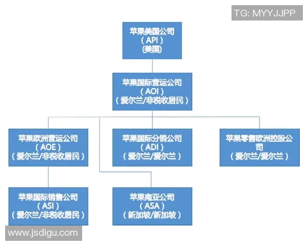 赛后分析：西安与北京羽毛球队的团队协作与战术对比探讨